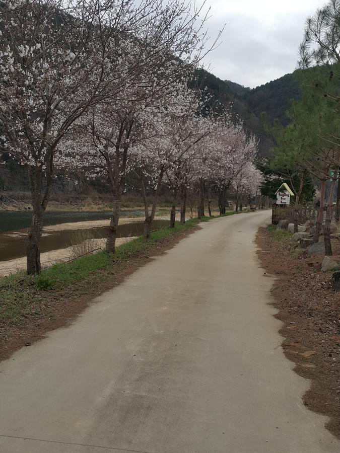 Pyeongchang River House Exteriér fotografie