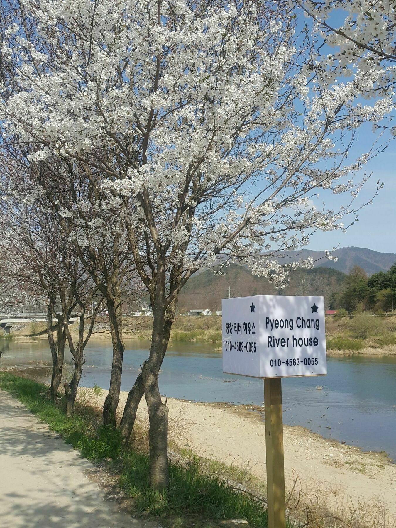 Pyeongchang River House Exteriér fotografie